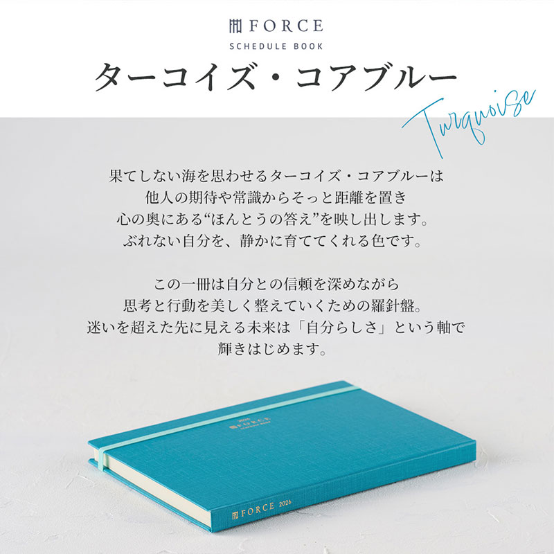 FORCE�åե�������Ģ 2026ǯ��2025ǯ11��Ϥޤ�� ������ޥͥ����ȼ�Ģ���Ρ��Ƚ�