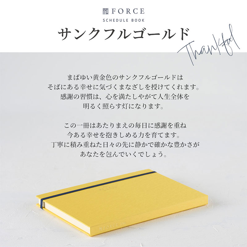 FORCE�åե�������Ģ 2026ǯ��2025ǯ11��Ϥޤ�� ������ޥͥ����ȼ�Ģ���Ρ��Ƚ�