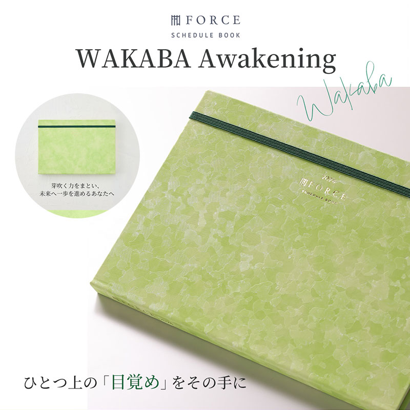 FORCE�åե�������Ģ 2026ǯ��2025ǯ11��Ϥޤ�� ������ޥͥ����ȼ�Ģ���Ρ��Ƚ�