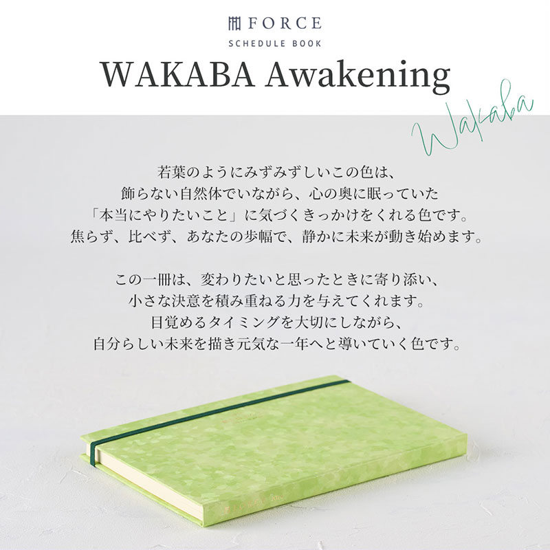 FORCE�åե�������Ģ 2026ǯ��2025ǯ11��Ϥޤ�� ������ޥͥ����ȼ�Ģ���Ρ��Ƚ�