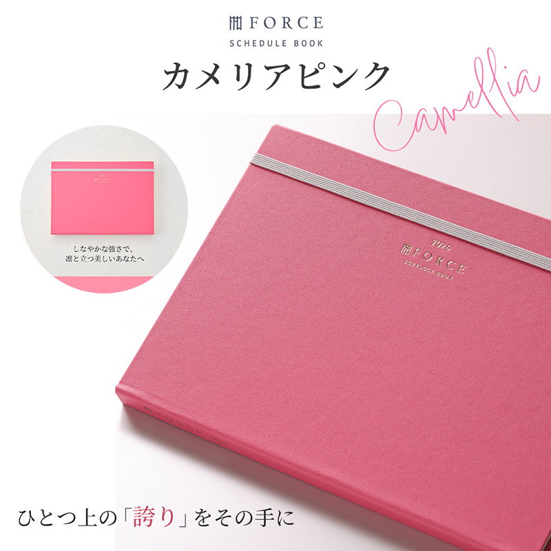 FORCE�åե�������Ģ 2026ǯ��2025ǯ11��Ϥޤ�� ������ޥͥ����ȼ�Ģ���Ρ��Ƚ�