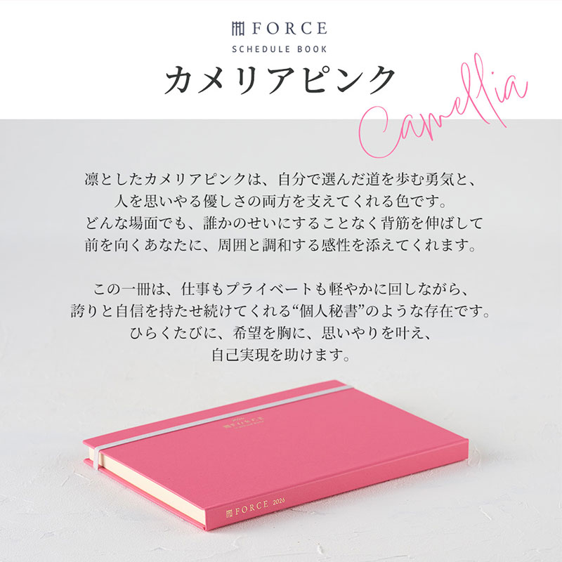 FORCE�åե�������Ģ 2026ǯ��2025ǯ11��Ϥޤ�� ������ޥͥ����ȼ�Ģ���Ρ��Ƚ�