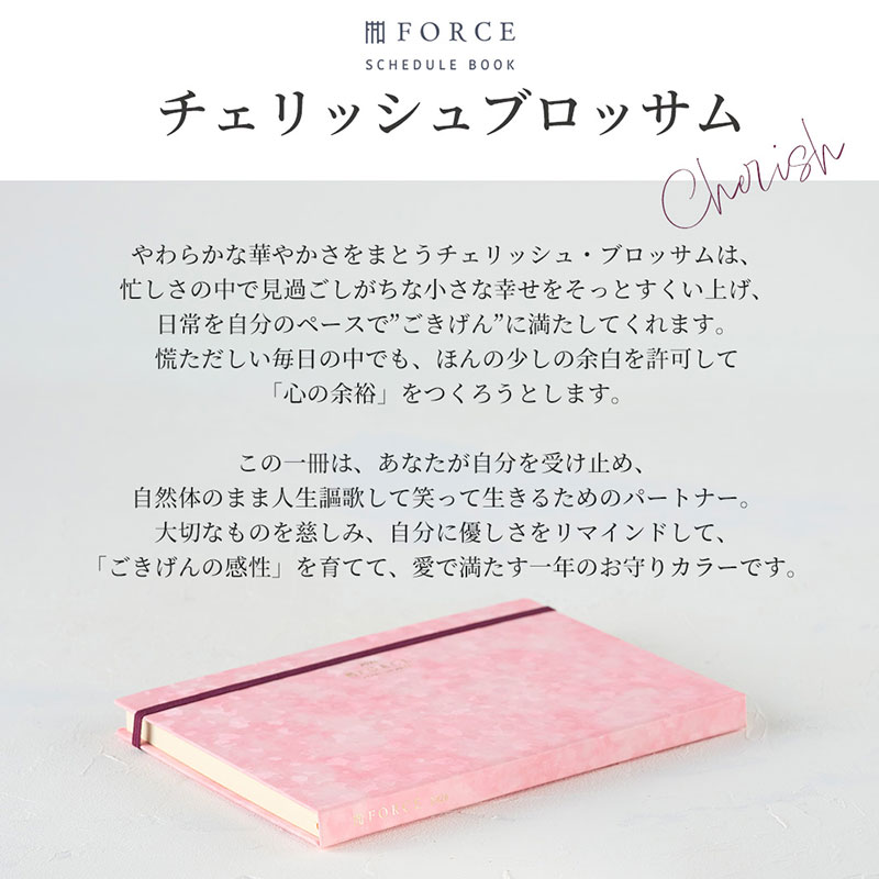 FORCE�åե�������Ģ 2026ǯ��2025ǯ11��Ϥޤ�� ������ޥͥ����ȼ�Ģ���Ρ��Ƚ�