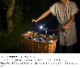 SPHELAR POWER ���ե��顼���ƥ��å� �����顼LED�ڥ�饤�� LED�ŵ�/��������/��������