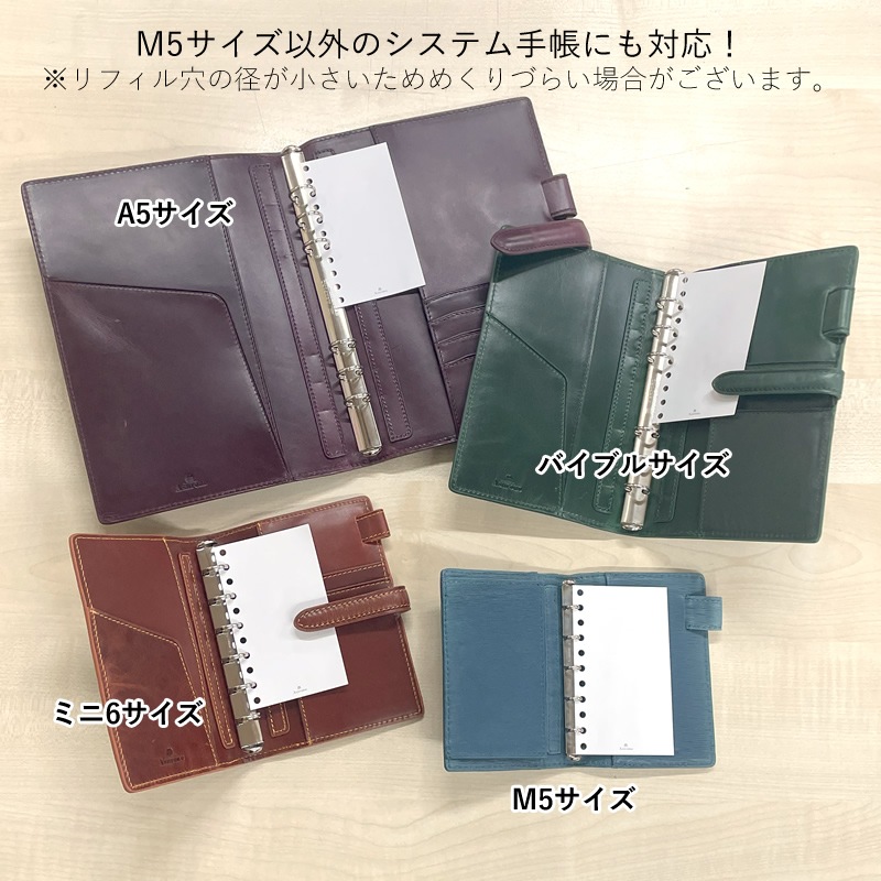 ե 롼ե M5/ޥ ǥ㡼ʥʳؽִ 5714-100 Loose Refill