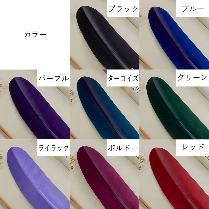 �ܥ�ȥ�åƥ� Bortoletti �����ڥ� ���եȥ��å� No84 ���ڥ� �ߥ˥ܥȥ륤��