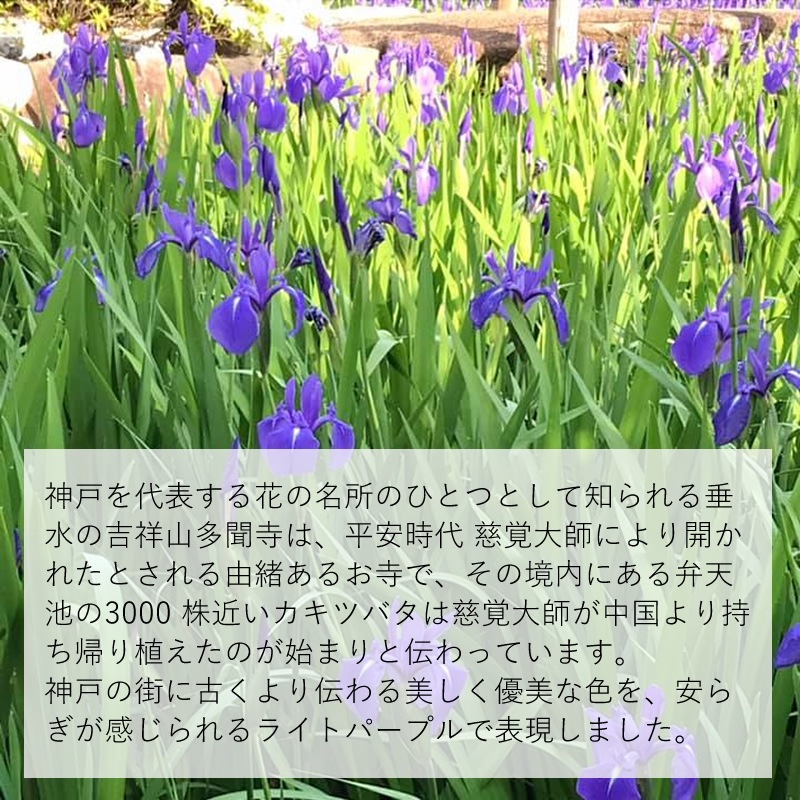 ��ǯɮ���� ����INKʪ�� 50ml ¿ʹ�����ĥХ� NAGASAWA���ꥸ�ʥ�