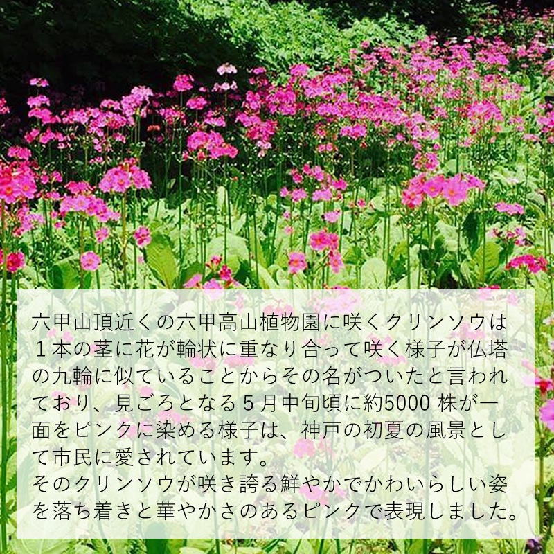 ��ǯɮ���� ����INKʪ�� 50ml ϻ�ù⻳����󥽥� NAGASAWA���ꥸ�ʥ�