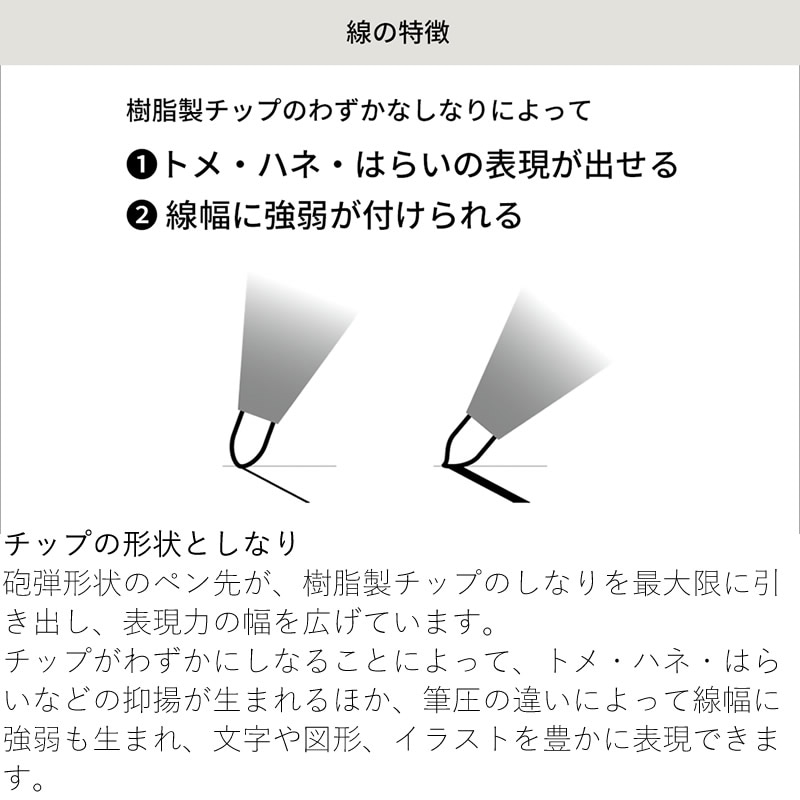 ������ WP���꡼�� �ե�����饤���� �ٻ�������С�/�֥�å� WP-F100