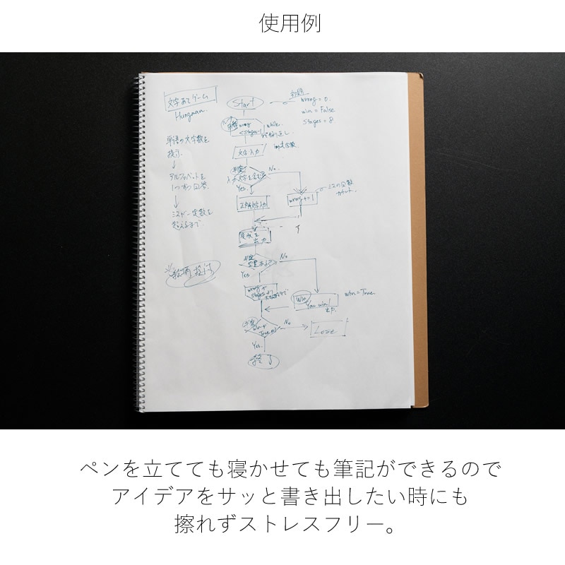 ������ WP���꡼�� �ե�����饤���� �ٻ�������С�/�֥�å� WP-F100