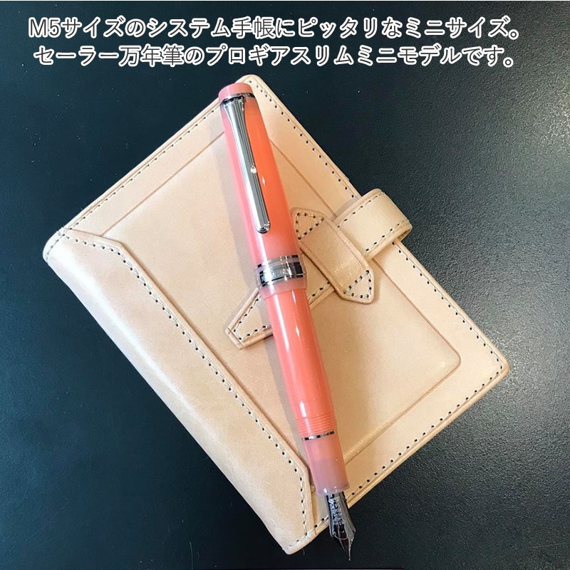 ���ͥڥ󥷥硼 ������ǯɮ �ڸ޿������������ �ץ����������ߥ˥�ǥ� EF/F/MF/M/B