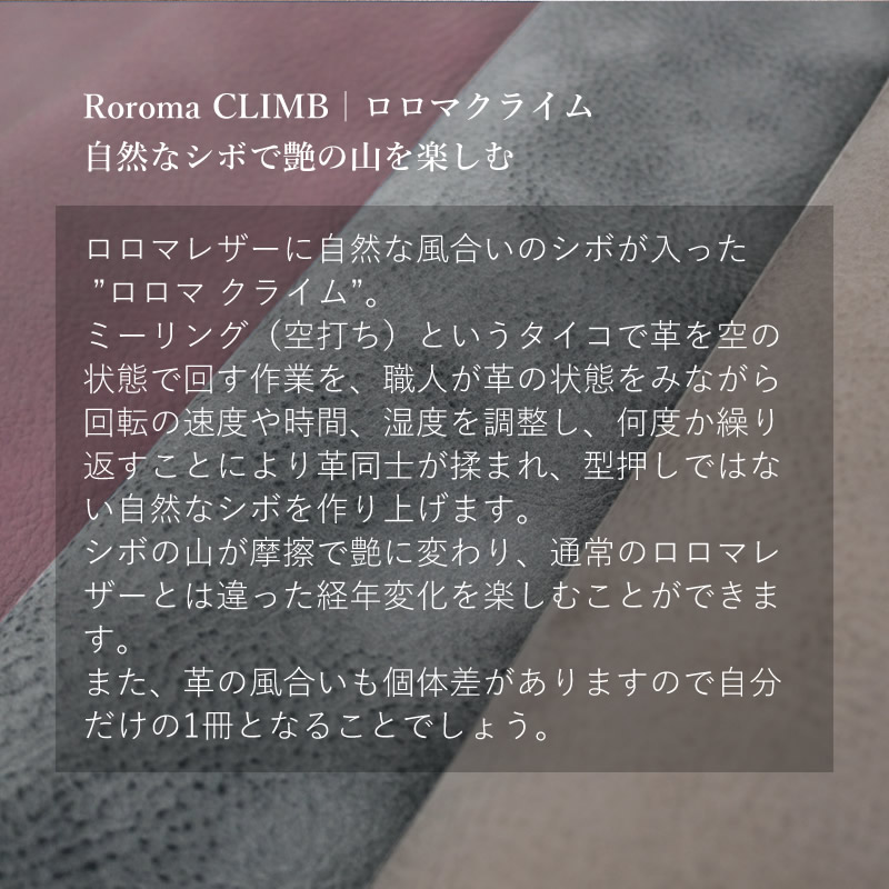 Davinci��NAGASAWA �Ρ��ȥ��С� ������ ���饤�� A5 �����ڥ󥿥���/�ץ롼�˥�