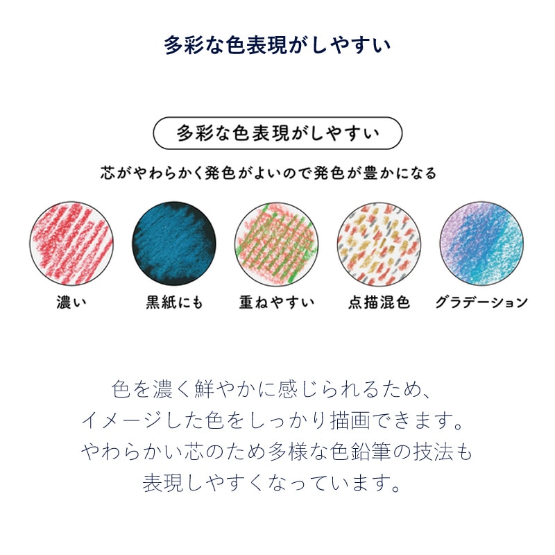 ��ɩ��ɮ ����ɮ toirono�åȥ����� 24�� TR24C