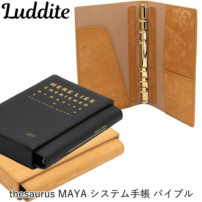  thesauruså饹 ƥĢ Х֥ MAYAåޥ쥶 ֥å/֥饦