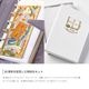 �쥤�ᥤ Davinci 30��ǯ �����ޥ��饷�å����奨�륳�쥯�����&���ƥ�ɥ롼�顼 mini5������ �������ޥ��/���󥶥ʥ���