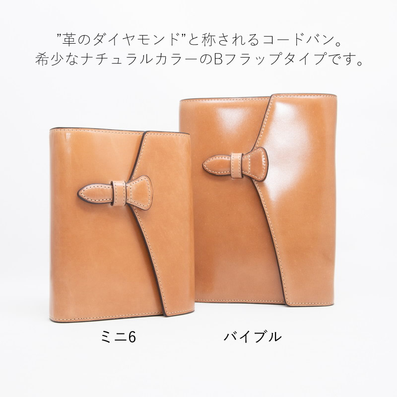 BrelioNAGASAWA ƥĢ 졼ǥ륳ɥХ ʥ  Bեå M6/Х֥