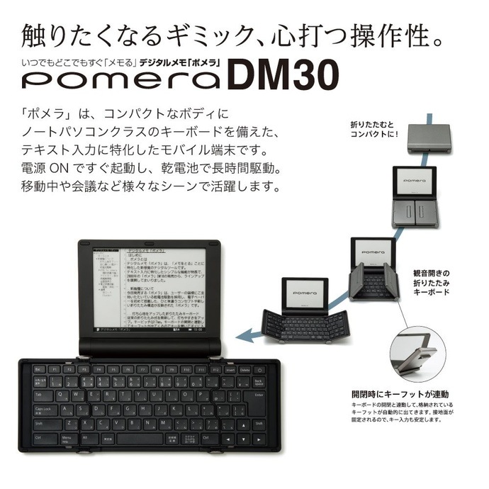 ���󥰥��� �֥ݥ������ѥ�������DM30�ѡ�DMC6