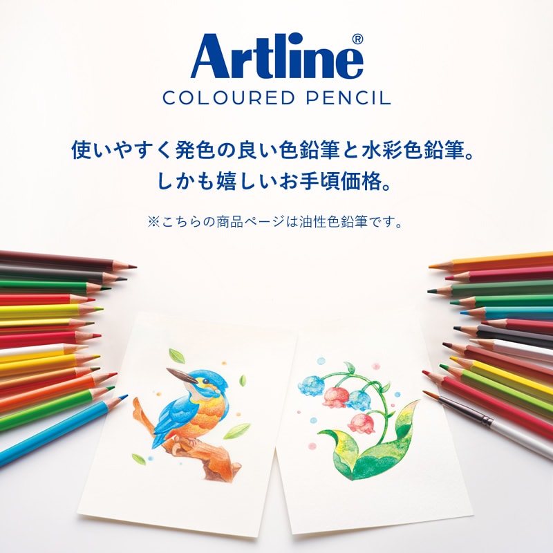 ������ϥ� �����ȥ饤�� ����ɮ 12�����å�