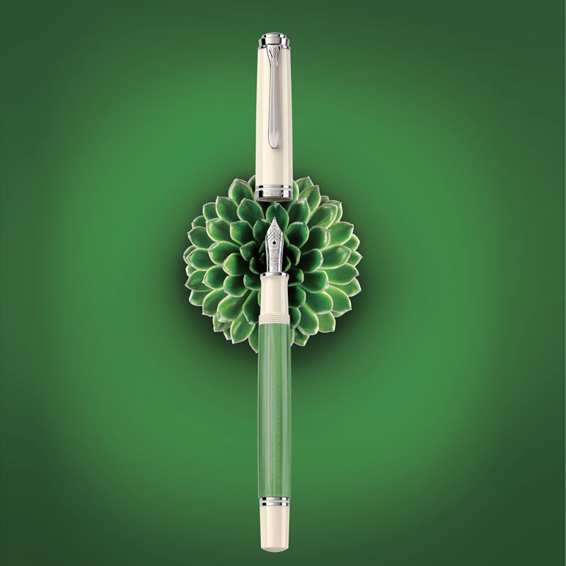 ڥꥫ  ٥졼605 ǯɮ ꡼ۥ磻 EF/F/M/B