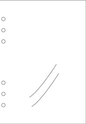 Davinci ƥĢե롡A5 PPݥå