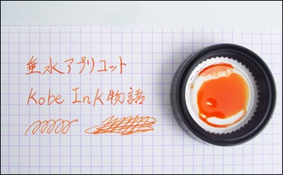 ��ǯɮ���� ����INKʪ�� 50ml ��奢�ץꥳ�å� NAGASAWA���ꥸ�ʥ�