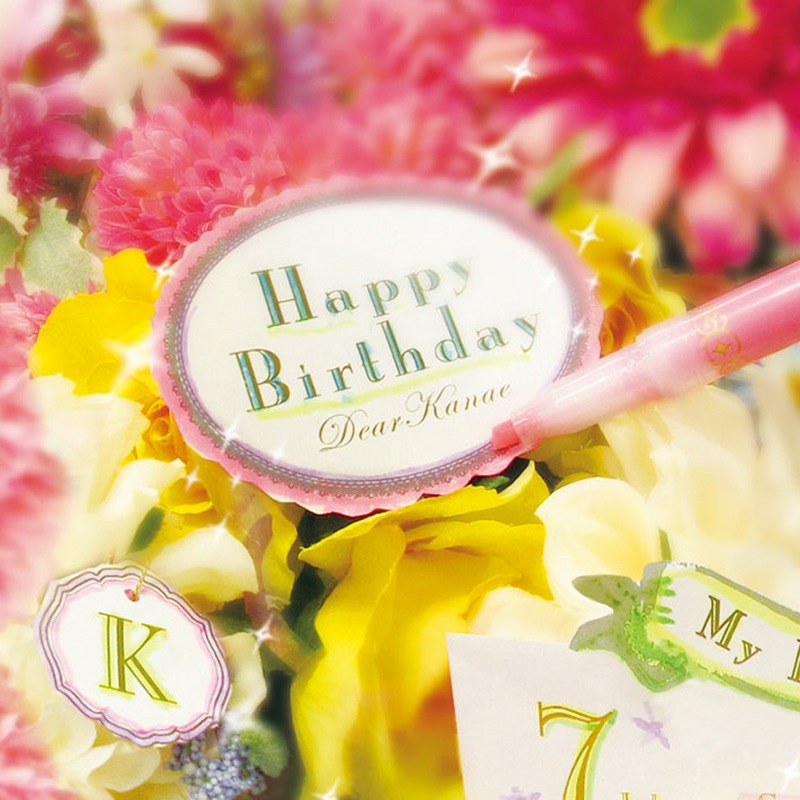 ���֥� �������ޡ����� �����å� ���� 13�����å� WKS18-13C