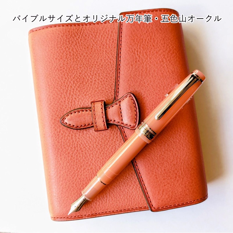 Brelio��NAGASAWA �ߥͥ�Хܥå���  ����󥸥��å� �����ƥ��Ģ���ڥ󥱡���