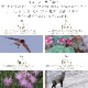 �����顼��ǯɮ �͵��� ����ä��󤹤� ��ǯɮ�ѥܥȥ륤�� ͼ��/����/���/���
