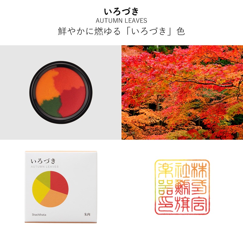 ϥ ̤꤬ 錄Τ 軰 -ĤΤĤ- MGW-50-C