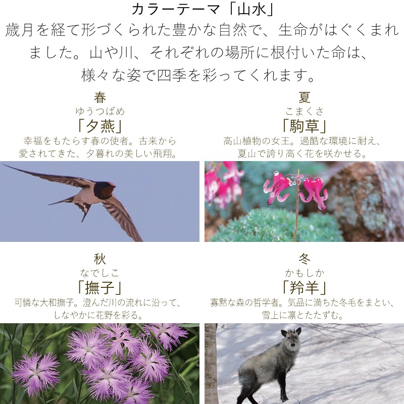 顼ǯɮ ͵ ä󤹤 ǯɮѥ󥯥ȥå ͼ///