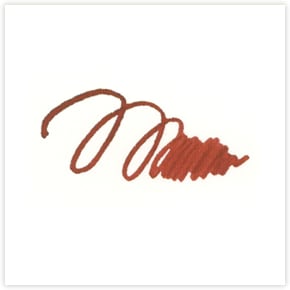 ��ǯɮ���� ����INKʪ�� 50ml ���ͥ�� NAGASAWA���ꥸ�ʥ�