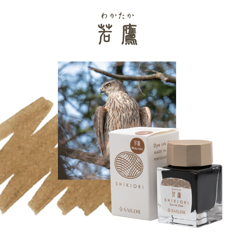 �����顼��ǯɮ �͵��� ��α� �ܥȥ륤�� �չ�Ļ�ʤϤ�Ĥ��ɤ�� / ����ʤ狼������ / ����ʤ����줤�� / �ʤ�����