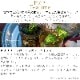 �ڸ���ۥ����顼��ǯɮ �����Υƥ����������3 ����å���ߥ�ȥƥ��� �������ǯɮ �ߥ�ȡ����奬�� 11-1711 Moroccan mint tea