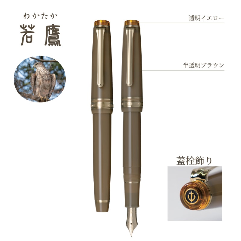 顼ǯɮ ͵ α ǯɮ ٻ չĻʤϤĤɤ / ʤ狼 / ʤ줤 / ʤ 11-1231