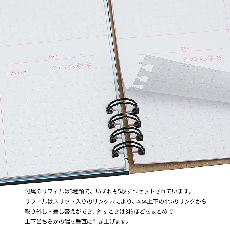 Campus��Rollbahn ����С���ե쥭���֥륫�С�360��L �饤�ȥ֥롼:A(����)/���졼:B(���Ե�)/���������꡼��:C(����)