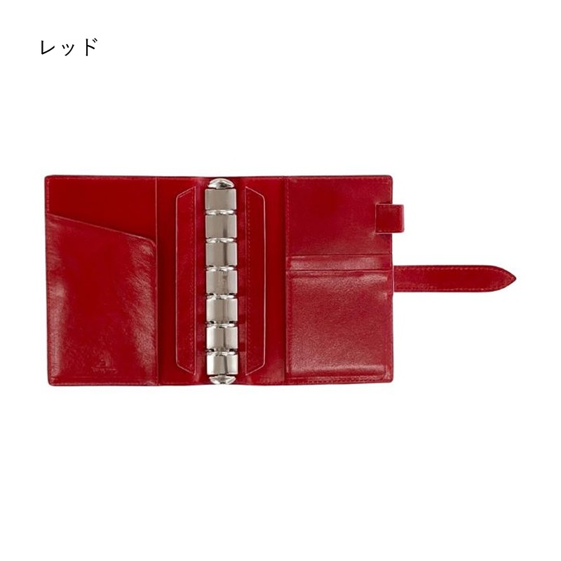 ASHFORD/������ե����� �����ƥ��Ģ �����塼 �ߥ�6 19mm �٥�ȥ����� 1269�����졼 ( ���� ) / �֥�å� ( �� ) / ��å� ( �� ) / �ѡ��ץ� ( �� )