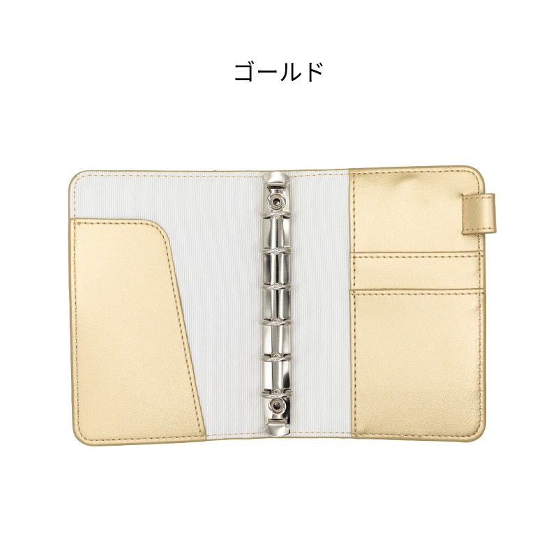 ������� Superior Standard �����ƥ��Ģ �ߥ�6 ����С�/������� LDKS-SSM6