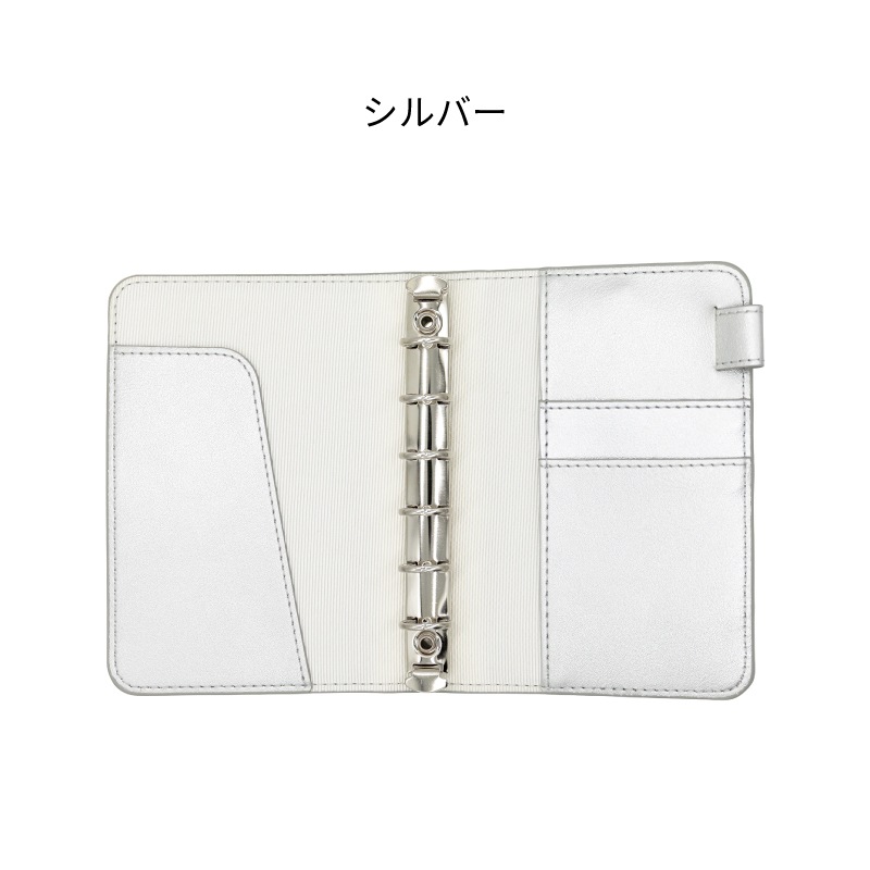 ������� Superior Standard �����ƥ��Ģ �ߥ�6 ����С�/������� LDKS-SSM6