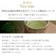 �ڸ���ۥ����顼��ǯɮ �����Υƥ��������� �������ǯɮ ����� ����