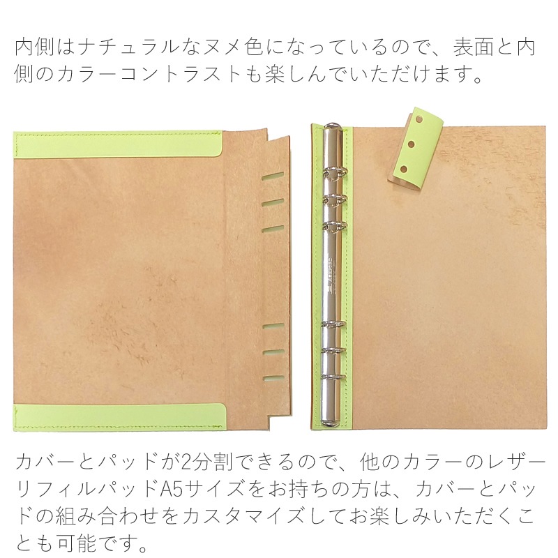 ������ե����� �쥶����ե���ѥå� Colors by LAMY safari ���ץ�󥰥��꡼��/������������/�饤�ȥ�����