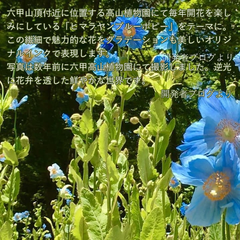 ��ǯɮ���� ����INKʪ�� 50ml ϻ�åҥޥ���֥롼 NAGASAWA���ꥸ�ʥ�