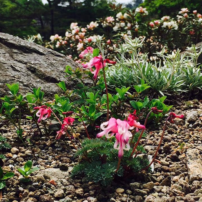 ��ǯɮ���� ����INKʪ�� 50ml ϻ�å���ץ��ԥ� NAGASAWA���ꥸ�ʥ�