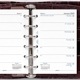 FILOFAX 2025ǯ ƥĢե ߥ6 2 25-68226 եեå