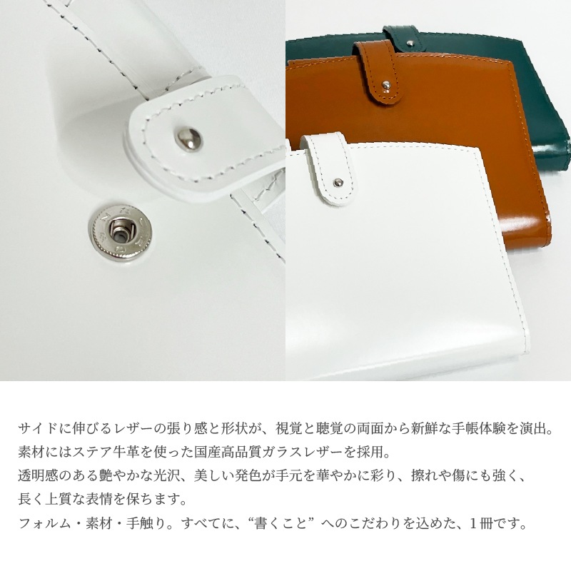 ASHFORD/������ե����� �����ƥ��Ģ ������ �ߥ�6 13mm �ۥå������� No.1306 �ۥ磻�� / �饹�� / �ͥ��ӡ�