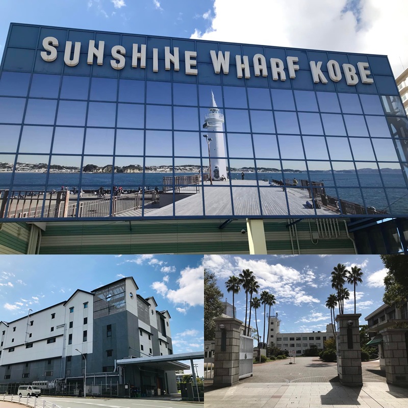 ��ǯɮ���� ����INKʪ�� 50ml ���������Х�֥롼 NAGASAWA���ꥸ�ʥ�