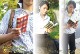 �ʥ����索�ꥸ�ʥ� �ܳ��� �ץ��ȥ쥶���֥å����С� ʸ�˥�����