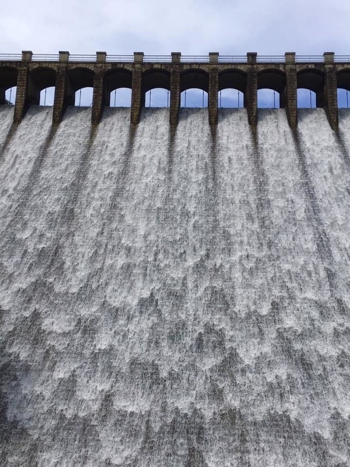 ǯɮ INKʪ 50ml 鴣֥롼 NAGASAWAꥸʥ