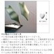 ץǯɮ  #3776꡼ ס֡ϡ ֥롼С PNB-43000A