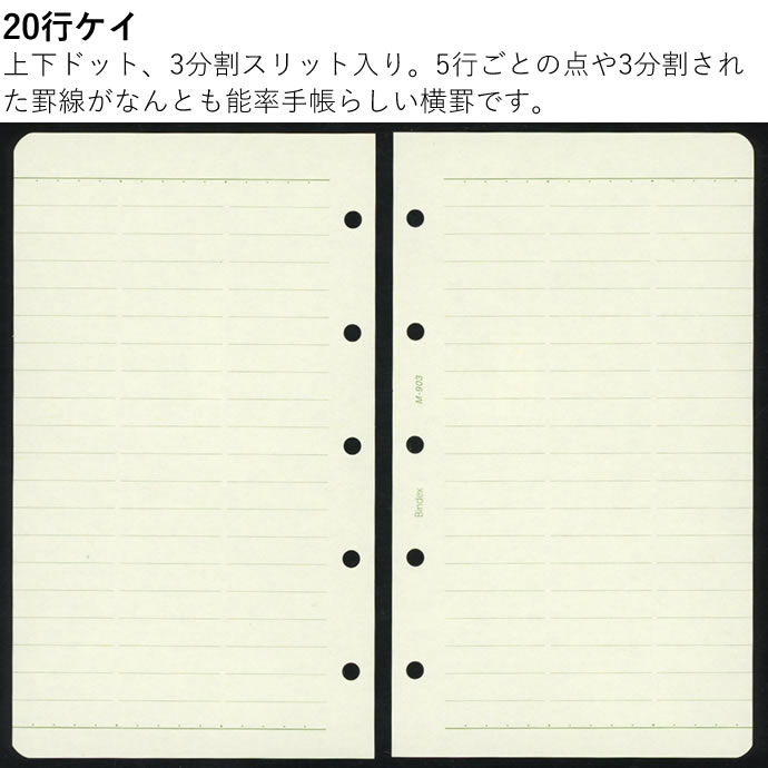 Хǥåby NOLTYޥɡƥĢե롡ޥ5ʥߥ5˥ǽΨĢ