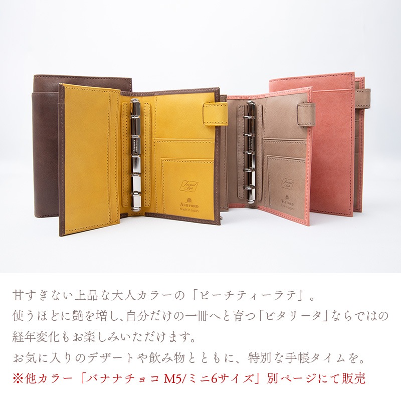 Ashford��NAGASAWA �ӥ��꡼�� �Х����顼 �����ƥ��Ģ �ԡ����ƥ������ M5/M6(�ߥ�6)
